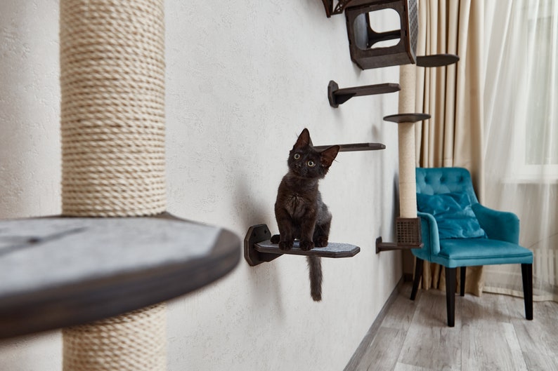 Puede incluir: Un gato negro se sienta en un estante de madera fijado a una pared. El estante es parte de un &aacute;rbol para gatos con m&uacute;ltiples estantes y un poste para rascar. El &aacute;rbol para gatos est&aacute; hecho de madera y cuerda. Un sill&oacute;n azul est&aacute; en el fondo.