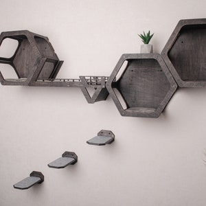 Puede incluir: Un conjunto de estantes hexagonales de madera con una peque&ntilde;a planta en una maceta en la parte superior. Los estantes est&aacute;n montados en una pared blanca y tienen un acabado de madera oscura. Tambi&eacute;n hay tres peque&ntilde;as plataformas grises montadas en la pared debajo de los estantes.