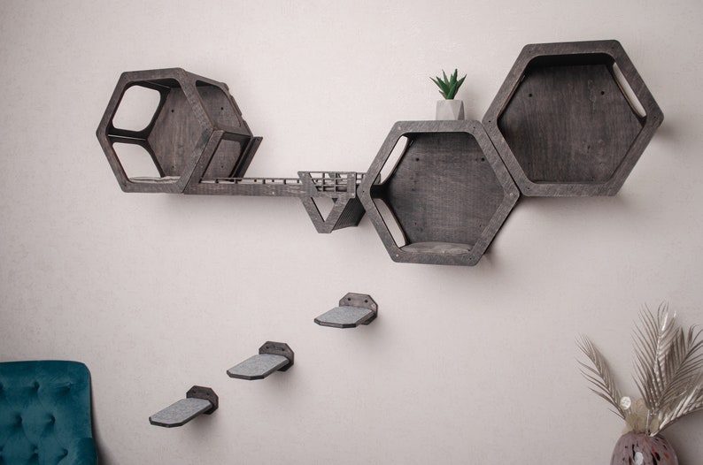 Puede incluir: Un conjunto de estantes hexagonales de madera con una peque&ntilde;a planta en una maceta en la parte superior. Los estantes est&aacute;n montados en una pared blanca y tienen un acabado de madera oscura. Tambi&eacute;n hay tres peque&ntilde;as plataformas grises montadas en la pared debajo de los estantes.