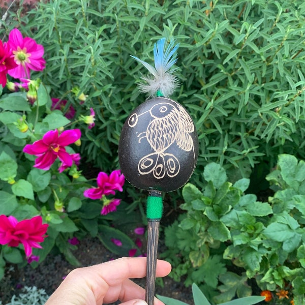 Shamanic Gourd Rattle Shaker From The Amazon