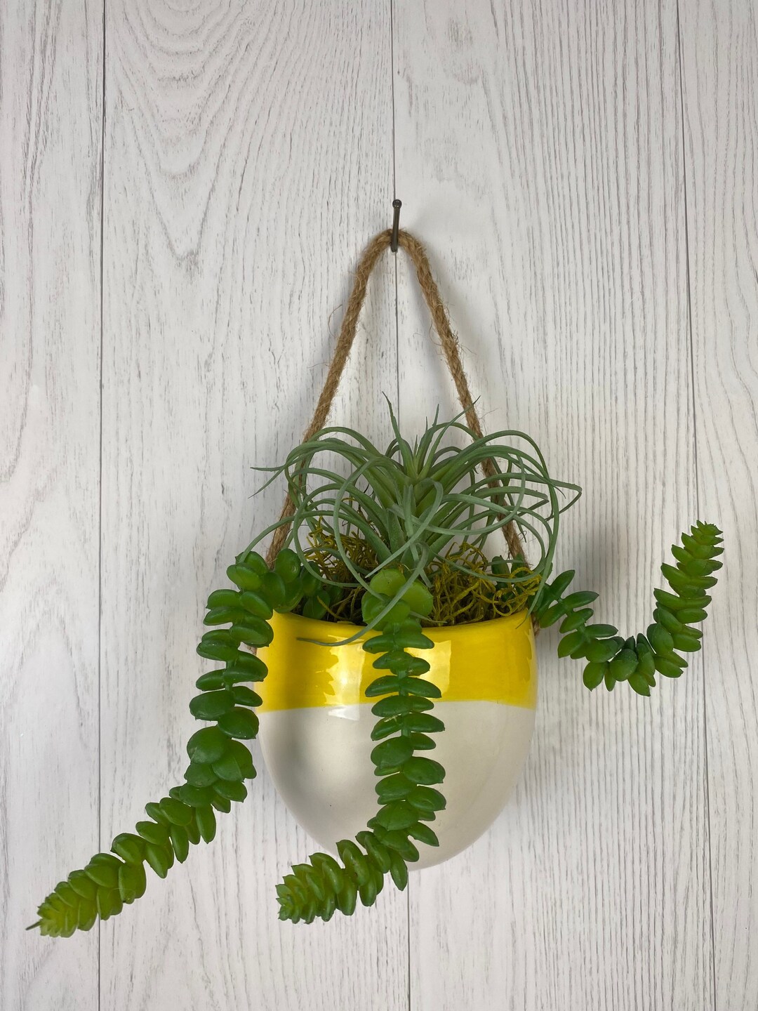 Artificial Succulent Hanging Plant, Air Plants and Holders Hanging