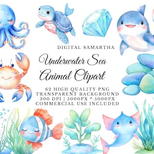 62 Unterwasser Meerestiere Clipart lMeeresmuschel l PNG Digital Download l Druckbare Aquarell Clipart l Junk Journal l Papiermodell