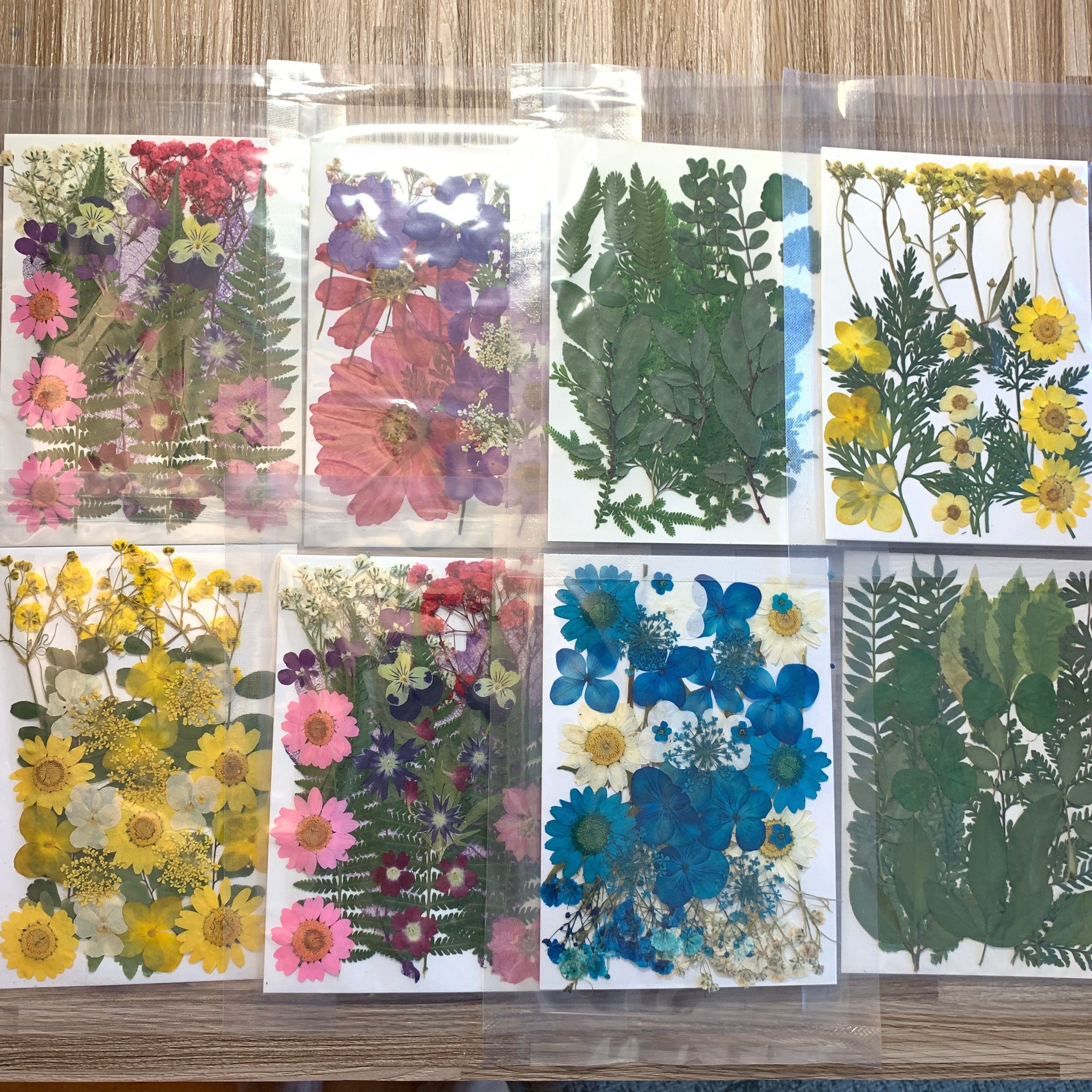 Dried Pressed Flowers Dry Plants for Resin Art DIY Craft Accessories