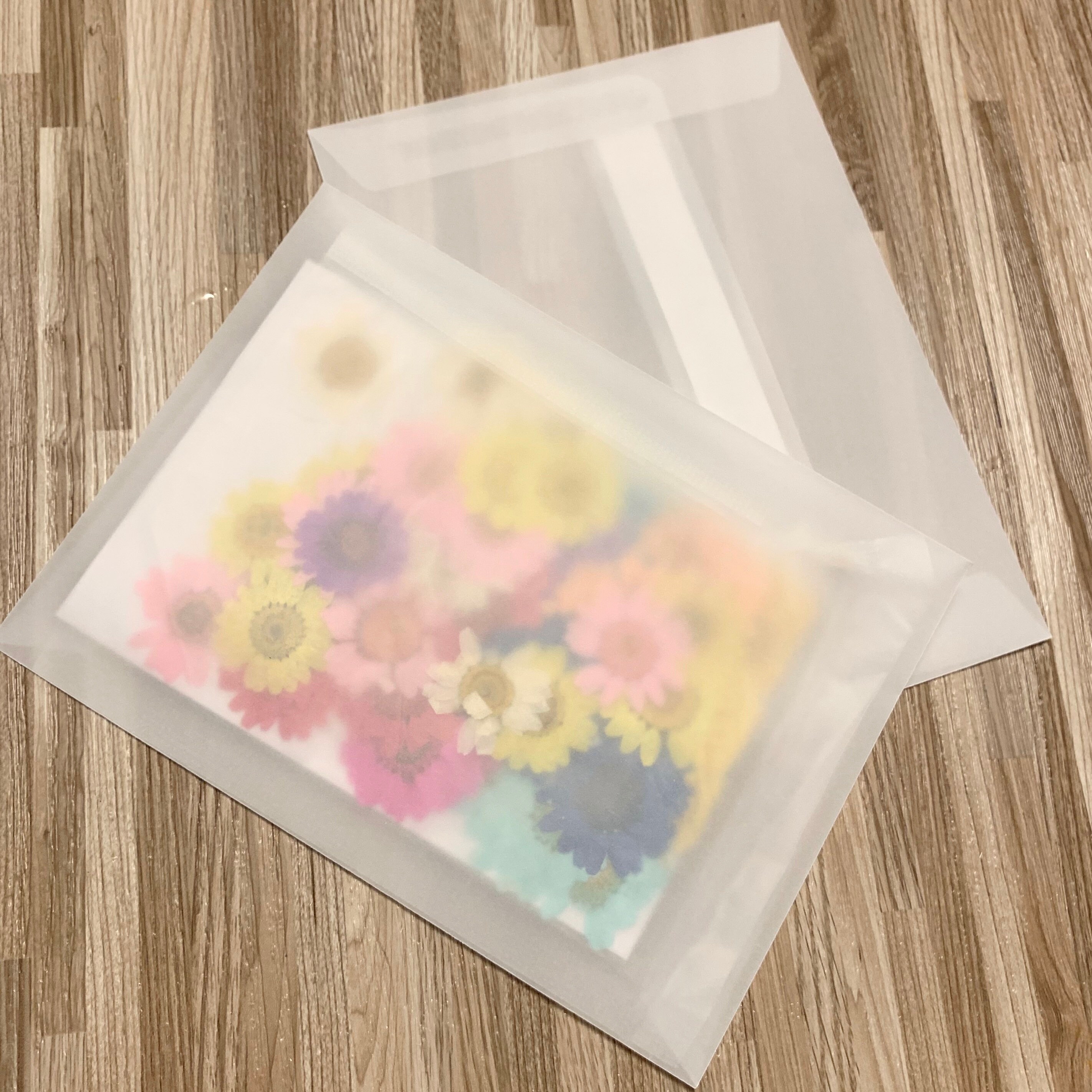 FREE SHIPPING A6 Clear Translucent Invitation Envelopes 4 Etsy