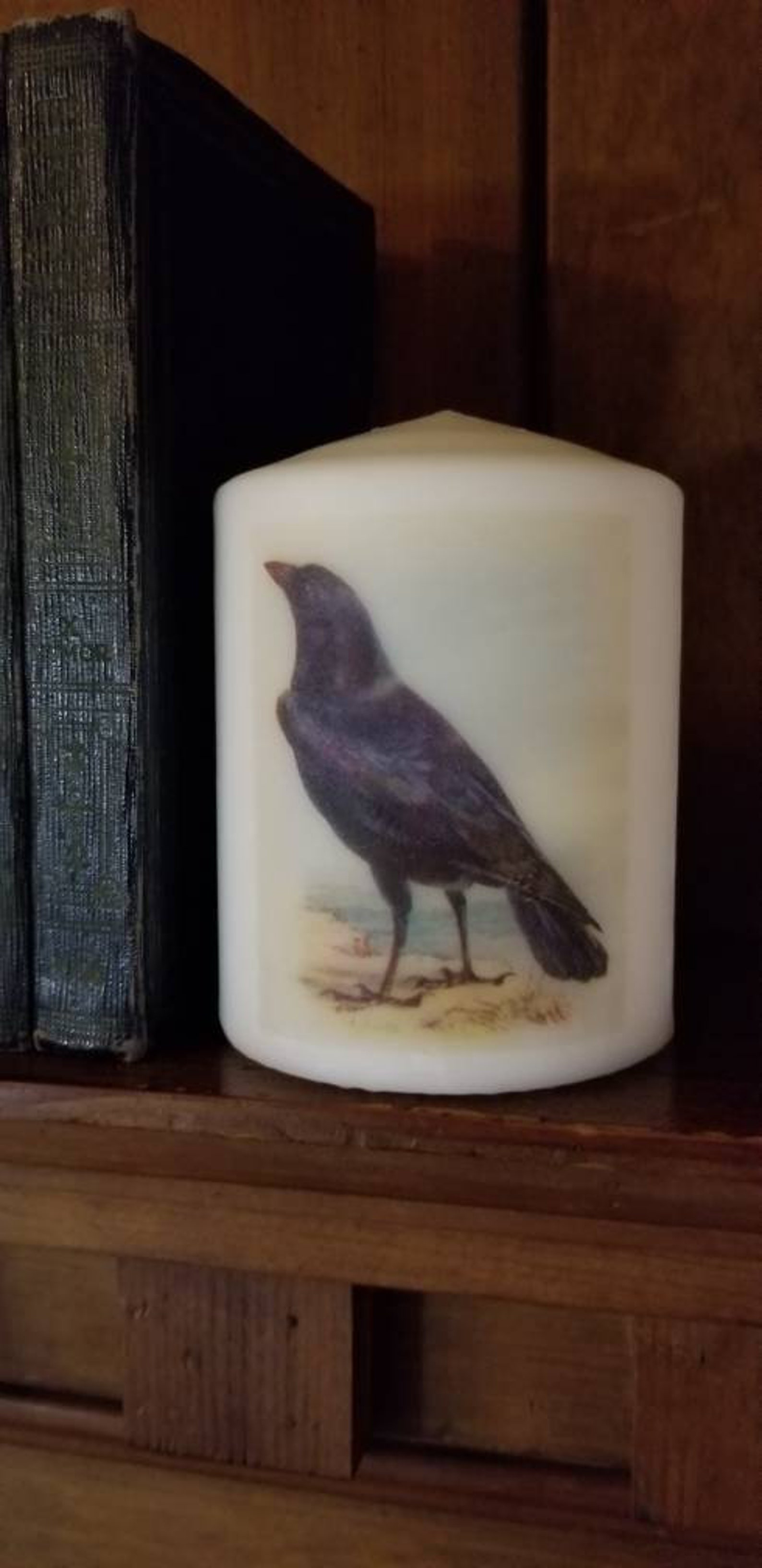 Raven pillar candle Edgar Allan Poe candle dark academia Etsy