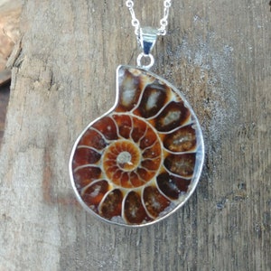Sea Witches' Ammonite Necklace / Magickal Ammonite Fossil Pendant Necklace / Fossilized Mollusk Necklace