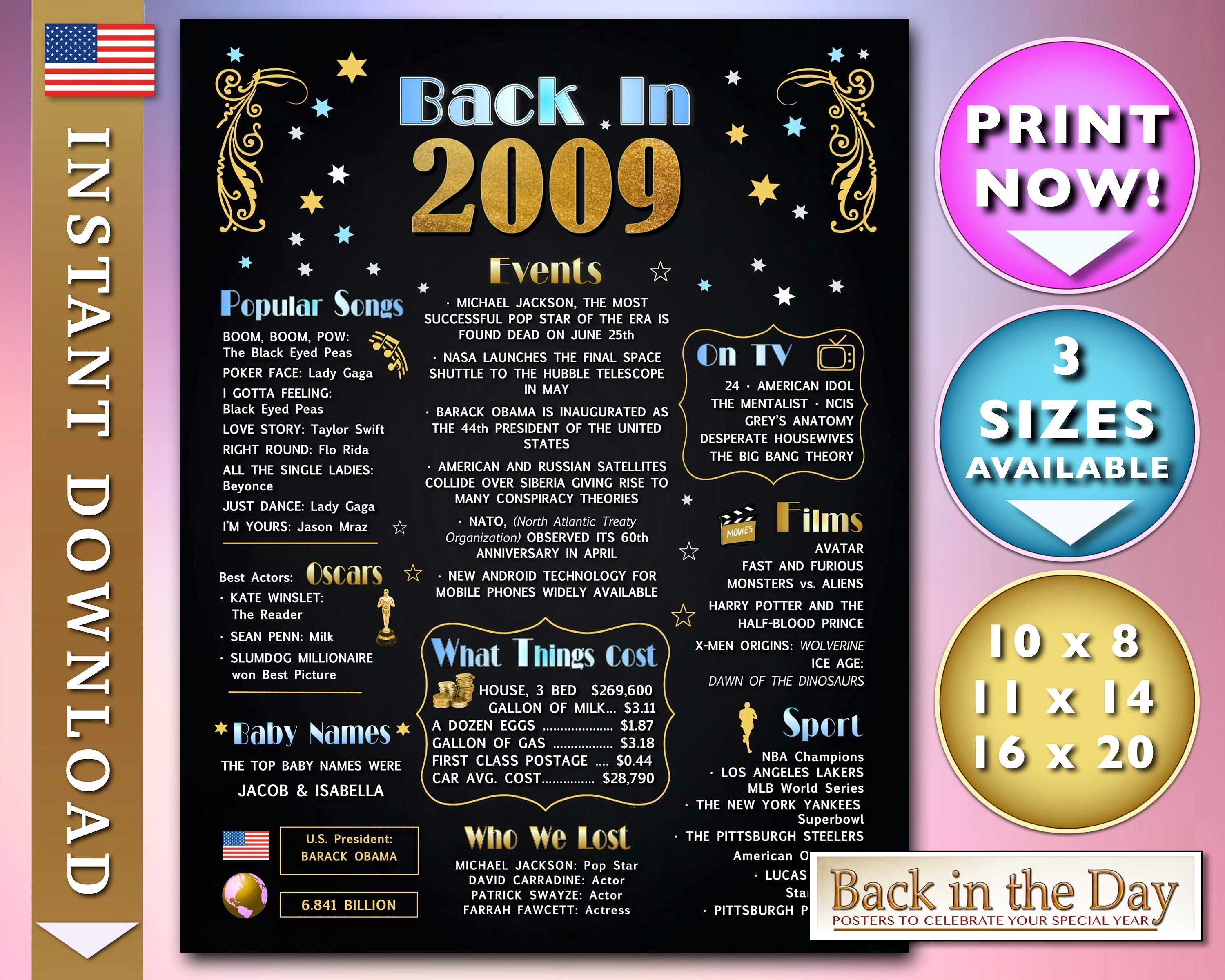 The Year You Were Born 2009, Celebration Chalkboard Style Poster, Back