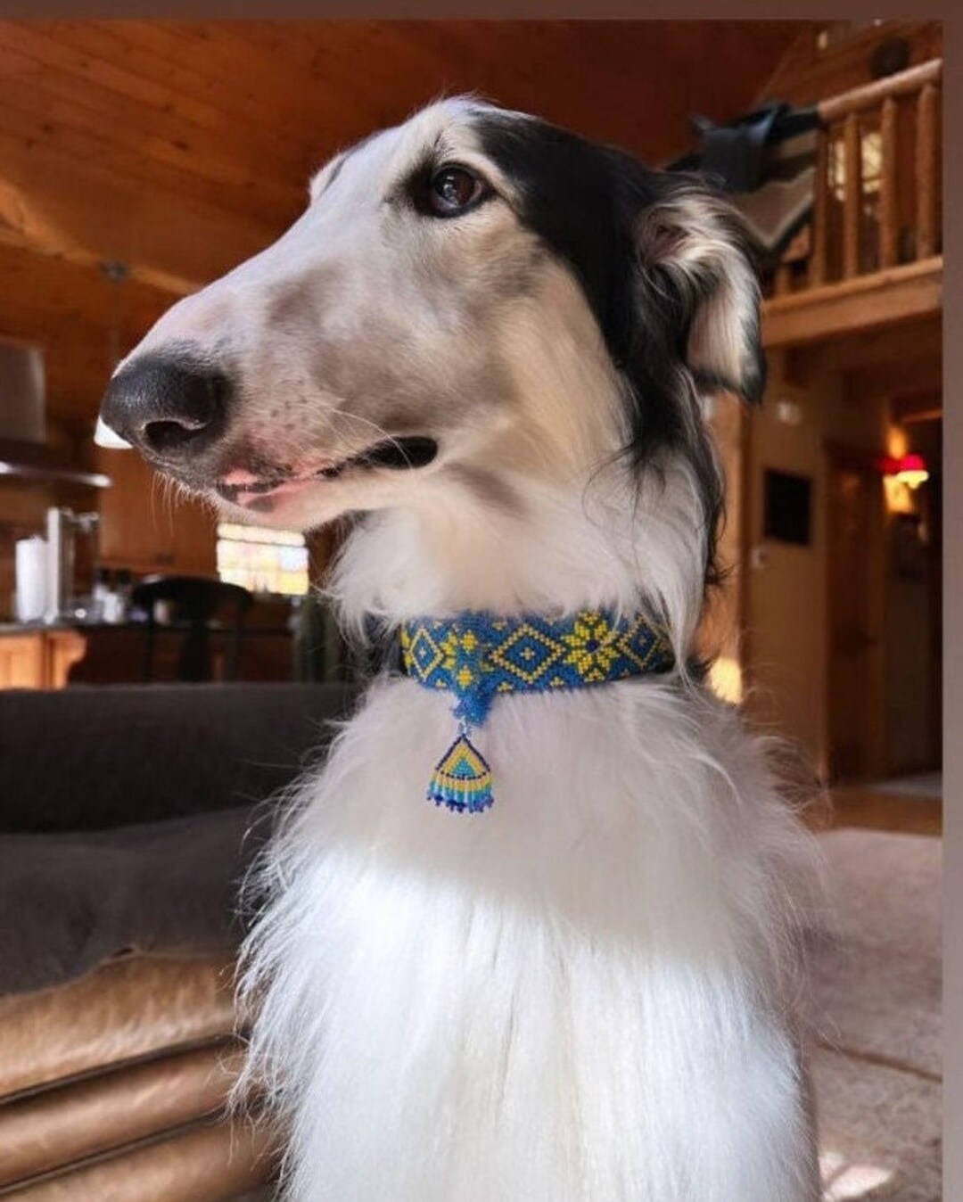 Ukrainian Patriotic Blue Yellow Vishivanka Dog Collar, Ukraine Flag