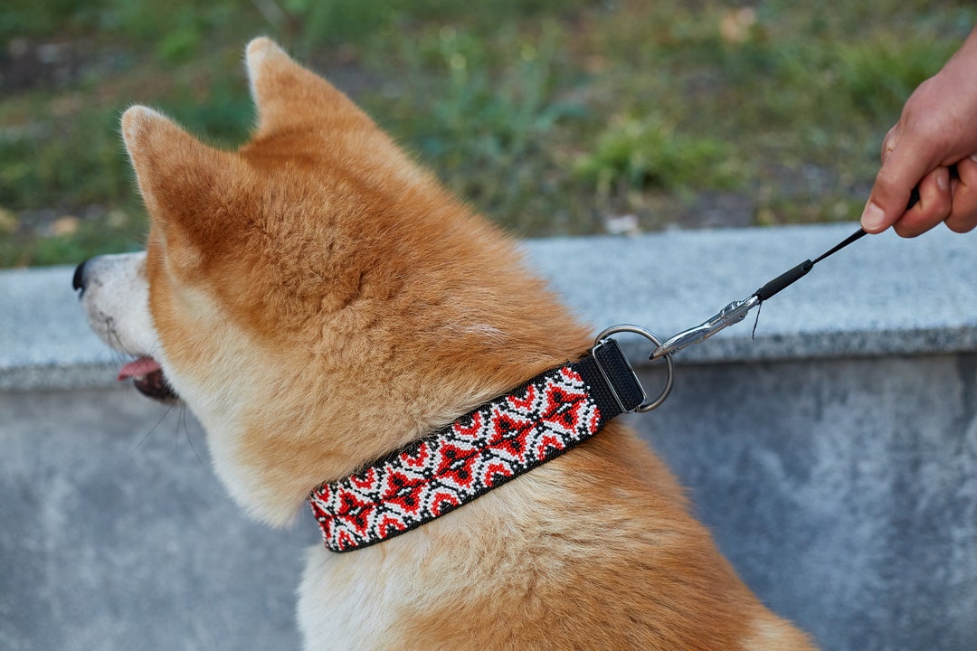 Large Ukrainian Vishivanka Dog Collar, Trendy Red, Black, White Dog