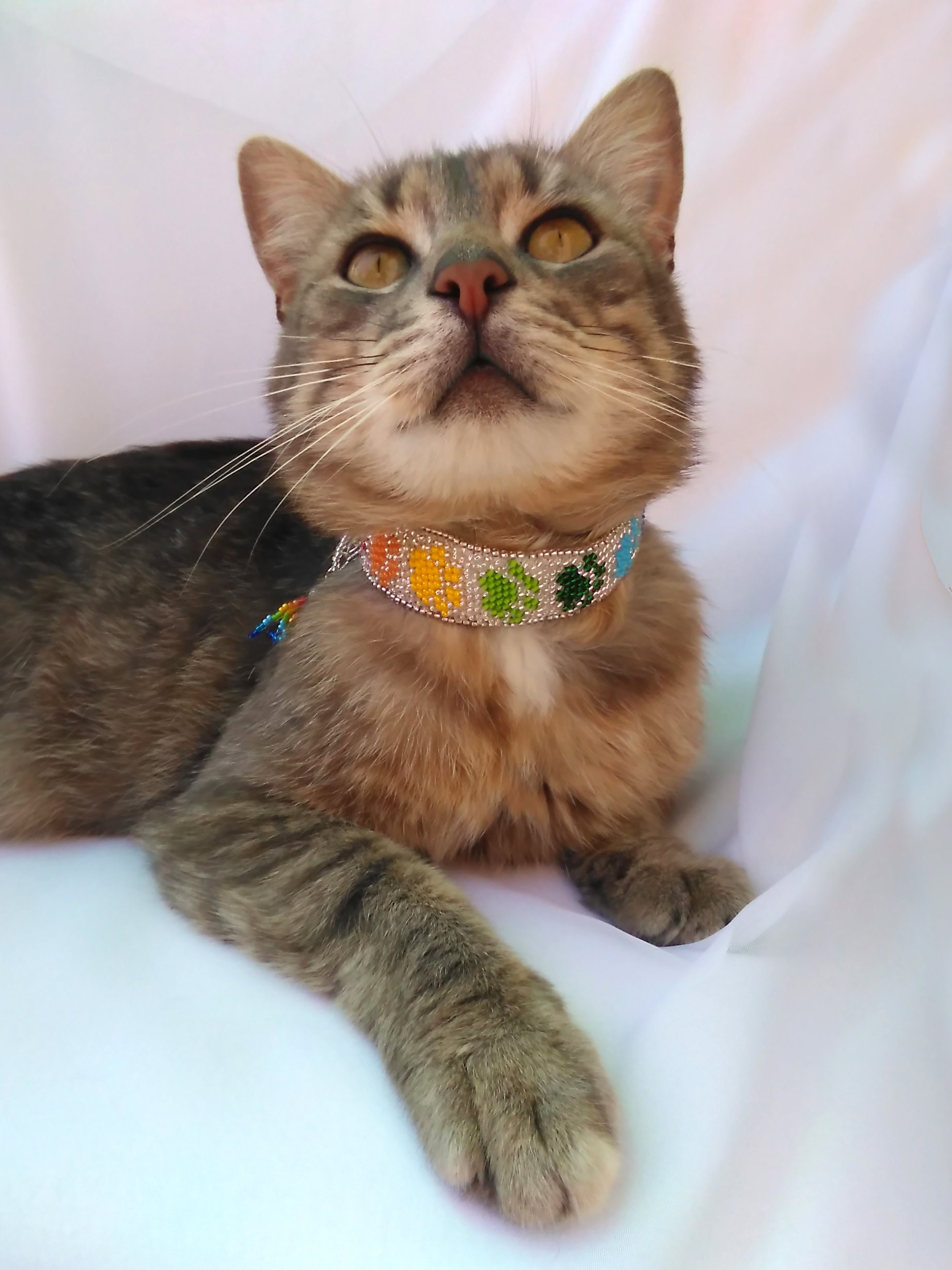 Beaded cat collar Cat accessory Rainbow collar Etsy