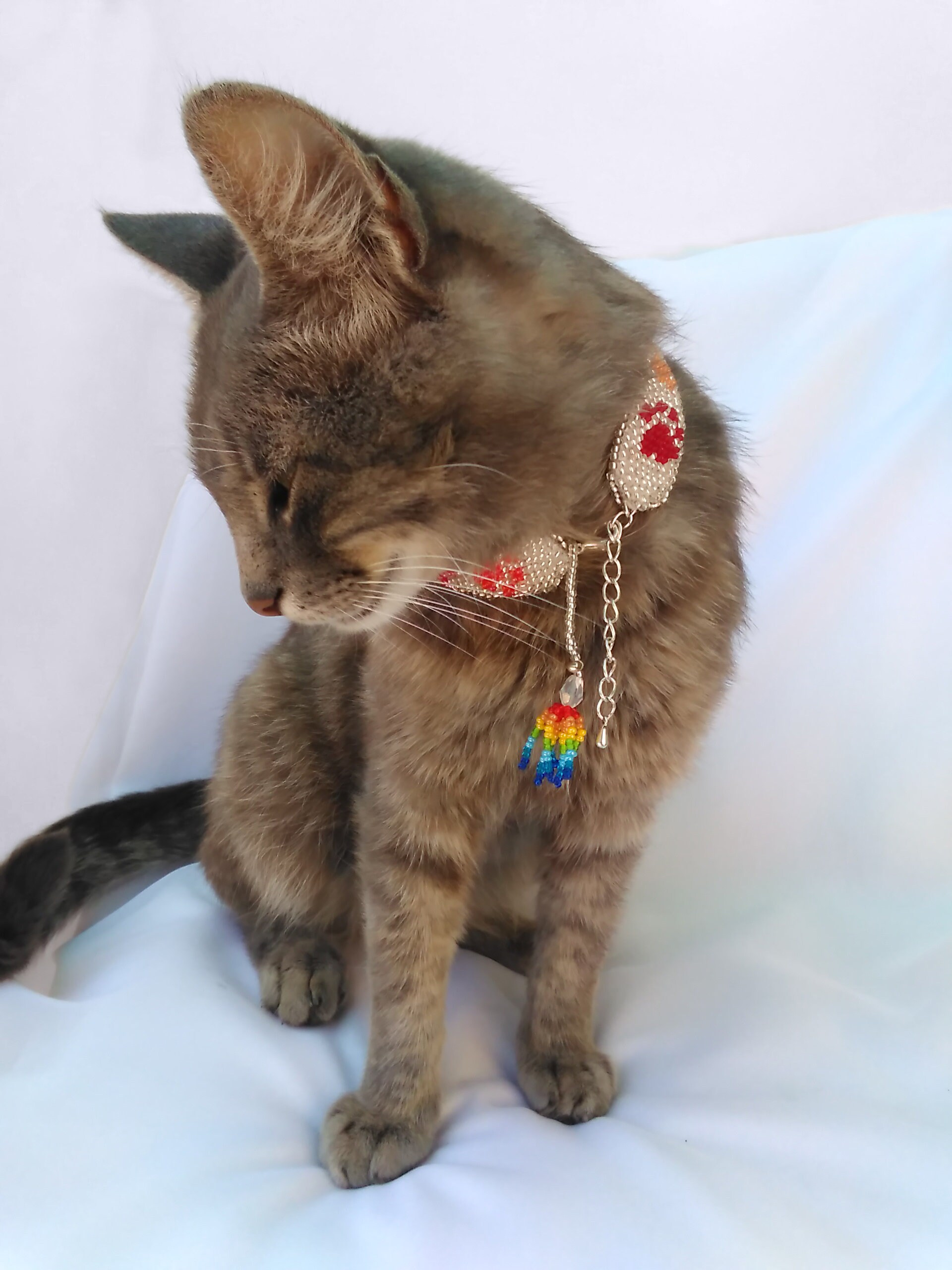 Beaded cat collar Cat accessory Rainbow collar Etsy