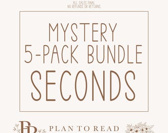 Paquete de 5 pegatinas misteriosas Seconds / Pegatinas para planificador / Pegatinas para Bujo *Lea la descripción antes de comprar*