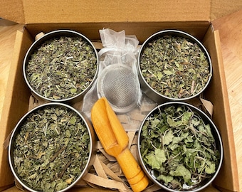 Puede incluir: Una caja de cartón abierta que contiene cuatro pequeños recipientes metálicos llenos de hierbas secas. También hay una pequeña cuchara de madera, un infusor de té de malla y una etiqueta redonda con texto. La etiqueta dice "Girl Gone Herbal Botanicals" y "Herbal Tea Brewing."