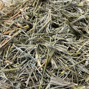 May include: A close-up of a bowl filled with dried, light green and gray plant material. The material is made up of thin, wispy stems and leaves.