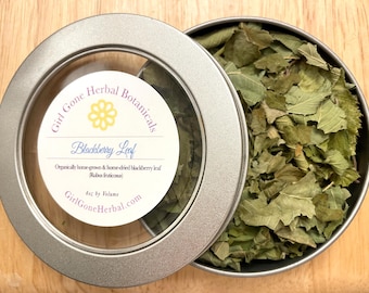 Hojas secas de mora, incienso herbal, mora (Rubus), ingrediente para té herbal, suministros para manualidades con hojas de mora, botica casera