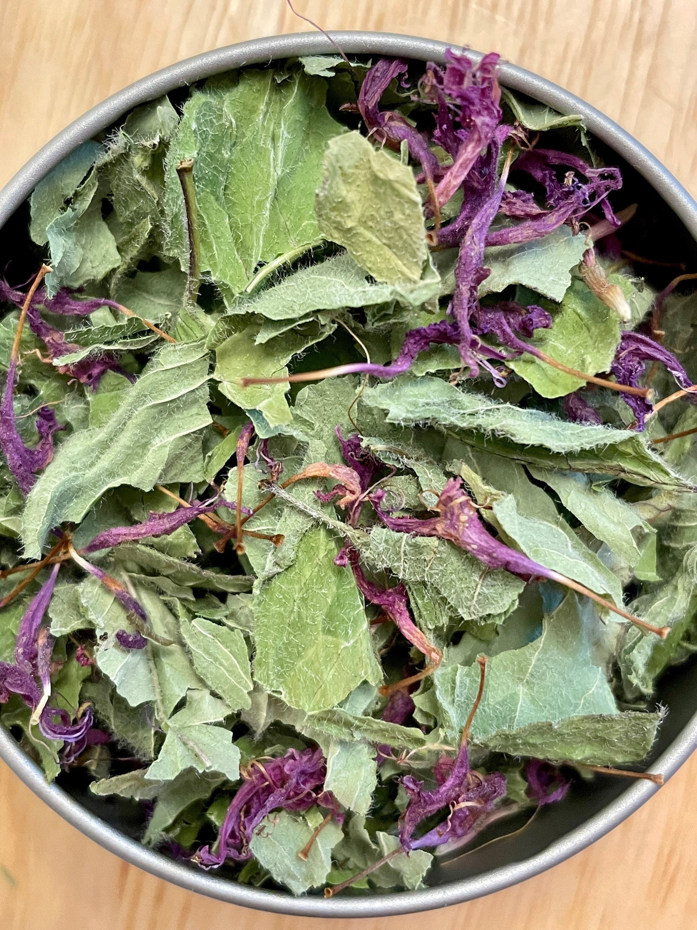 Bee Balm Monarda Herbal Tea Organic Homegrown Bee Balm - Etsy