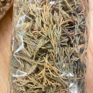 Cedar Leaves Bulk Herb, Dried Cedar Tips, Loose Herbal Incense, Cedar Herbal Potpourri, Organic Cedar Leaf Fragrance, Cedar Smudge Incense