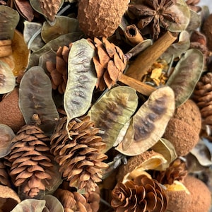 Autumn Herbal Potpourri, Cinnamon/Senna/Pinecone/Star Anise/Orange All-Natural Home Fragrance, Herbal Fragrance, Herbal Sachet, Herbal Home