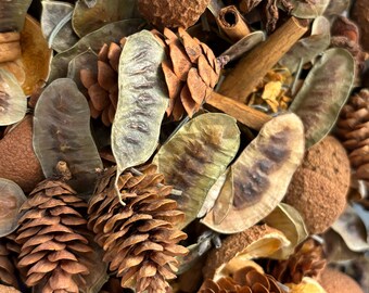 Könnte beinhalten: Eine Mischung aus getrockneten Naturmaterialien, darunter Tannenzapfen, Sternanis, Zimtstangen und getrocknete Zitrusschalen. Diese Artikel werden häufig in Potpourris oder zu Dekorationszwecken verwendet.