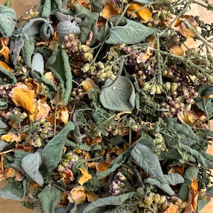 Può includere: Un mix di erbe e fiori secchi, tra cui salvia, lavanda e petali di rosa. Le erbe sono un mix di verde e marrone, e i petali sono un mix di rosa, arancione e giallo.