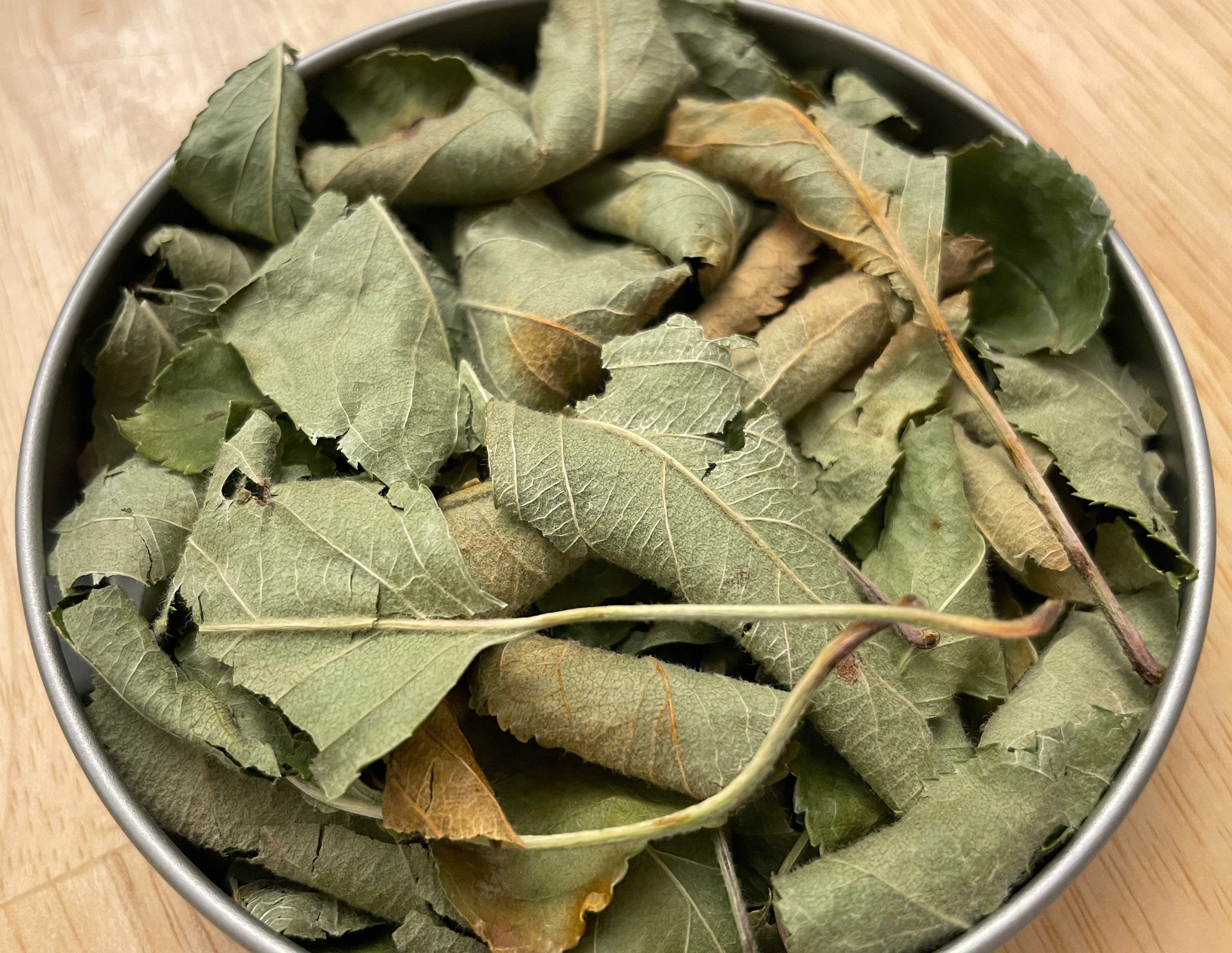 Dried Apple Leaves Homegrown Natural Herbal Incense Ritual Etsy
