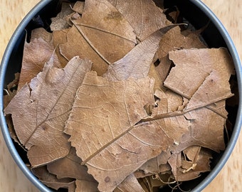 White Oak Leaves, Fall Floral Supply, Ritual Herbs, Witch Herbs, Pagan Herbs, Loose Herbs, Spiritual Herbs, Candle Herbs, Spell Herbs