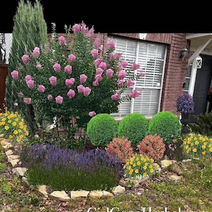 Custom Landscape Design, Custom Garden Plans, Backyard Oasis, Curb Appeal, Personalized Garden Design, Small Garden Plan, Small Yard Plan