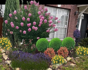 Custom Landscape Design, Pro Custom Garden Plans, Backyard, Curb Appeal, Personalized Garden Design, Large Garden Plan, Large Yard Plan