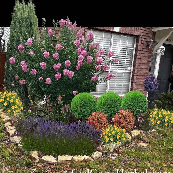 Custom Landscape Design, Pro Custom Garden Plans, Backyard, Curb Appeal, Personalized Garden Design, Large Garden Plan, Large Yard Plan