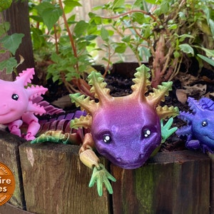 Axolotl Articulated Fidget (Made to Order) fidget sensory