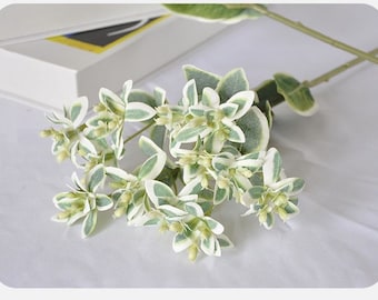 18.5” Euphorbia Marginata Branch Artificial Faux Plant， Home Decor Plants for Bouquet
