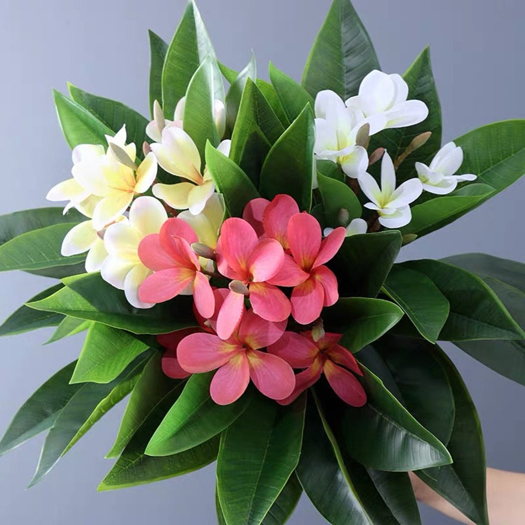 Silk Frangipani Artificial Faux Flower Home Decor Flower in 3 Colors