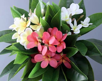 Silk Frangipani Artificial Faux Flower Home Decor Flower in 3 Colors , 2 Sizes , For Bouquet