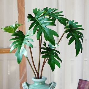 parlor palm - chamaedorea elegans Palm Parlor Neanthe Bella Palm, Live Plant Indoor Air Purifier – Eureka  Farms