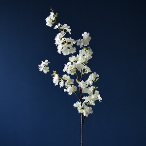 May include: A single white blossom branch with delicate white flowers against a dark blue background.