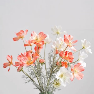 May include: A bouquet of cosmos flowers in shades of peach and white. The flowers have delicate petals and yellow centers. The stems are a muted green, and the arrangement is set against a soft, neutral background.