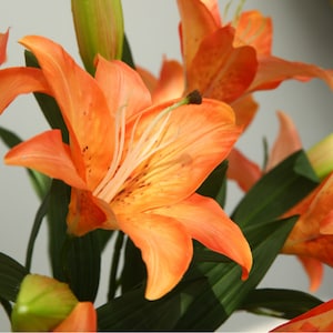 19.7&quot;  Real Touch 3D Printing Lily Artificial Faux Flower Home Decor Flower in 5 Colors For Bouquet