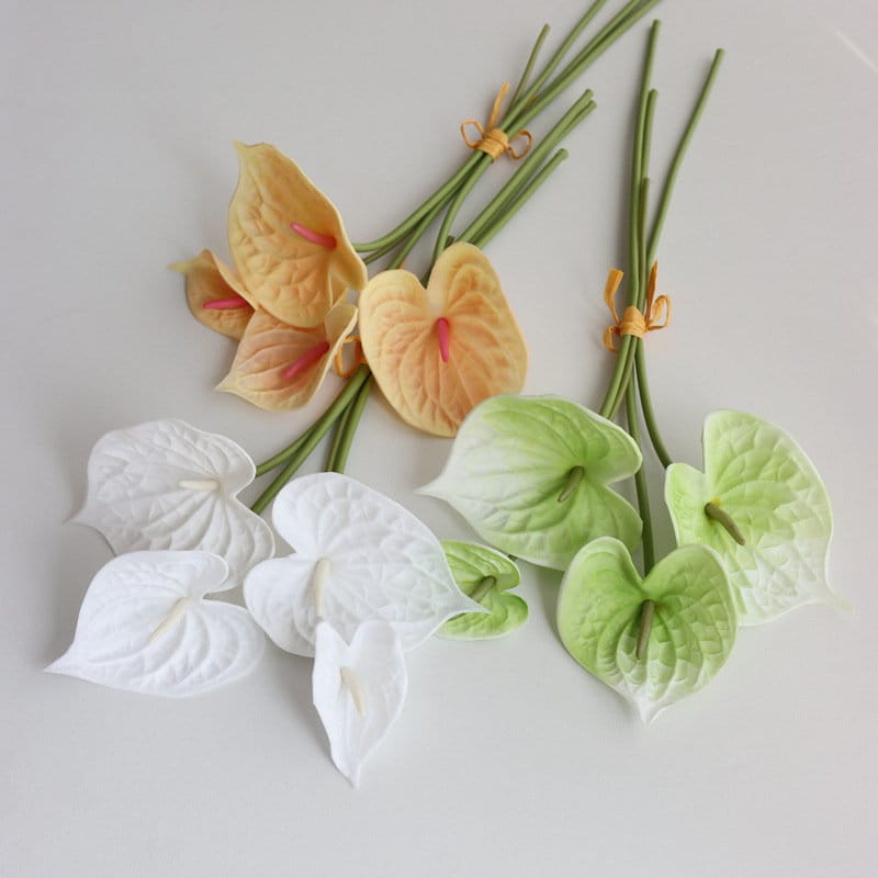 Anthurium variegated - Etsy 日本