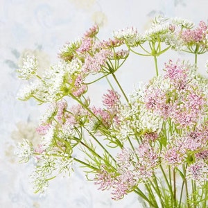 30 Queen Anne's Lace Faux Flower Stem