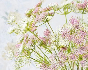 Pode incluir: Um buquê de flores artificiais brancas e rosadas com flores delicadas e plumosas. As flores estão dispostas em um cacho, criando um visual suave e romântico.
