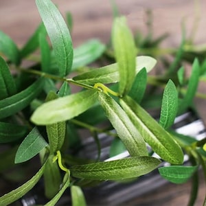 37,4 &quot;(Gesamtlänge) künstliche Olivenblätter und Zweige Wohnkultur Pflanzen für Blumenstrauß