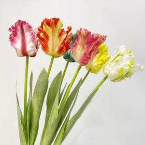 26.8&quot; Real Touch Parrot Tulip  Artificial Faux Flower Home Decor Flower in 6 Colors