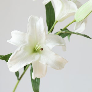 May include: A bouquet of white lilies with green stems and leaves. The lilies are in full bloom and have a delicate, elegant appearance.