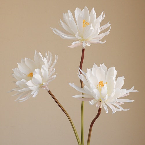 Fleurs artificielles artificielles Cereus de 30 po. en soie pour décoration d'intérieur, blanches, pour bouquet