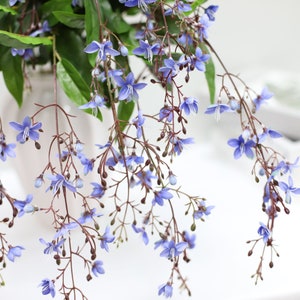 28.4"  Silk Jasmine Artificial Faux Flower in 4 Colors , Home Decor Flower For Bouquet， Wedding ，Party