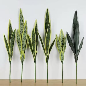 May include: Several artificial snake plant stems are arranged against a white background. The leaves are green with yellow edges and a mottled pattern. One stem has solid dark green leaves. The stems are green and appear to be made of plastic.