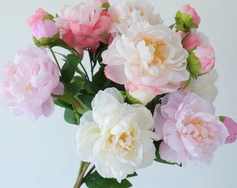 May include: A bouquet of pink and white peonies with green stems and leaves.