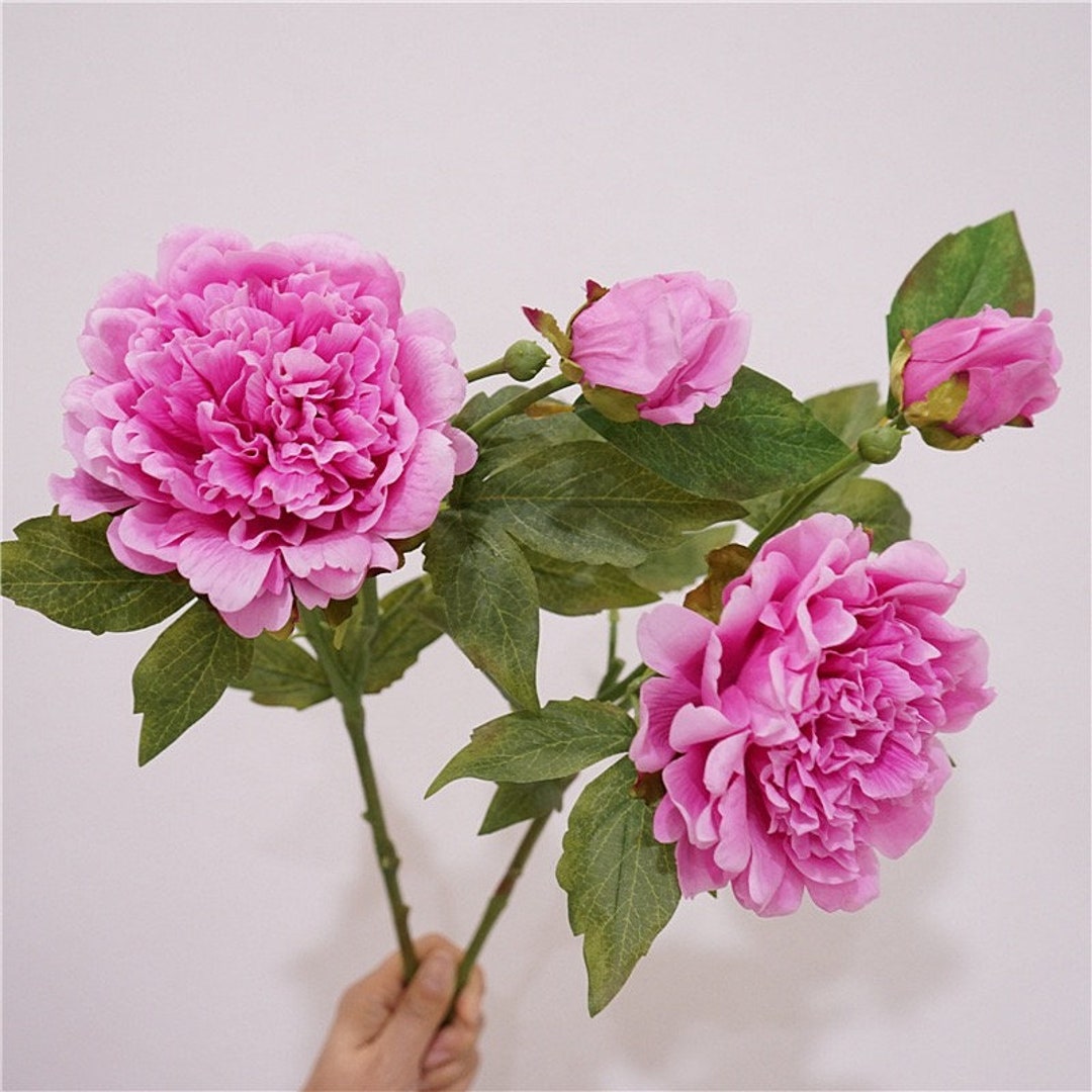 25.6overall Length 2 Heads Real Touch Peony Artificial Etsy