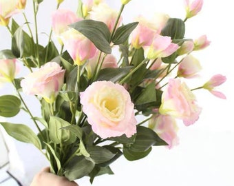 May include: A bouquet of pink and white lisianthus flowers with green stems and leaves.