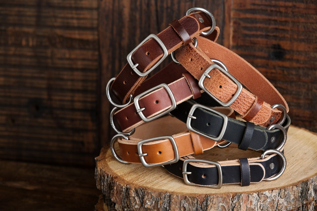 Ranger Dog Collar the QUIET Collar Etsy